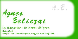 agnes beliczai business card